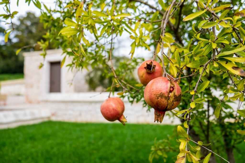 Villa Masseria Paretano à Alberobello Extérieur photo